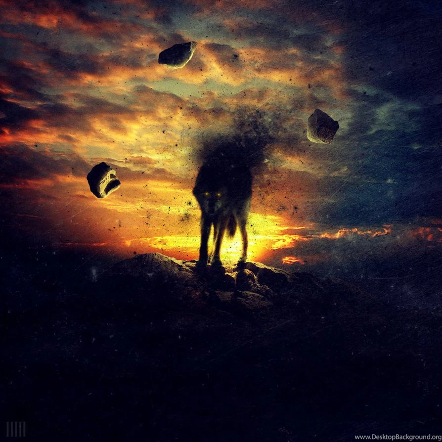 She Wolf By Jcmphotos On DeviantArt