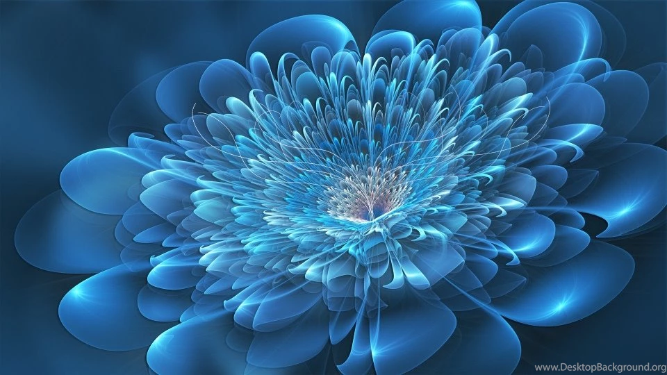 3d wallpapers digital art flowers wallpaper 37354