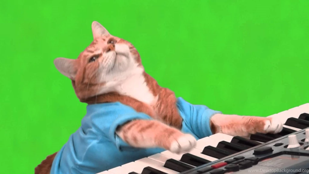 Make Your Own Keyboard Cat Green Screen YouTube