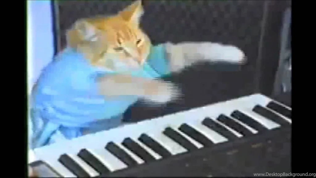 Ozzy Osbourne + Keyboard Cat (Who The Fuck Is Justin Bieber) YouTube