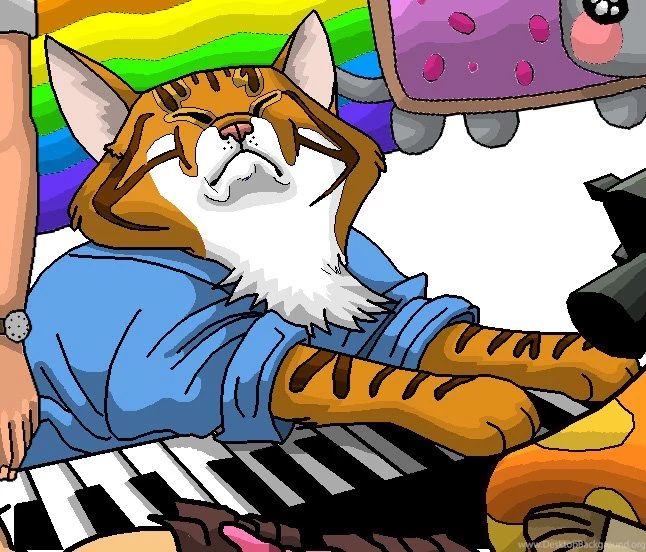 Keyboardcat DeviantArt