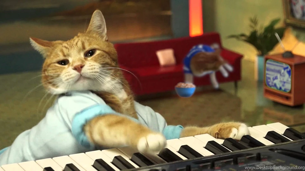 Keyboard Cat Plays During The Football Game! YouTube