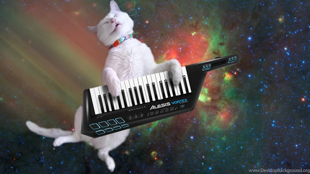 Cats On Keyboard Instruments In Space Album On Imgur