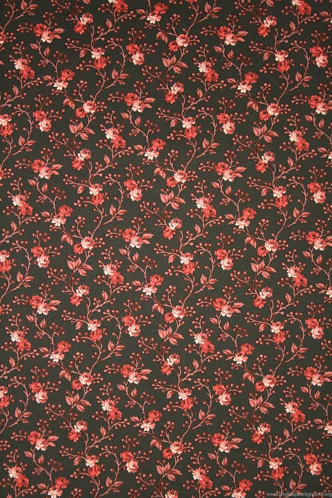 Red And Black Flower Wallpapers Romantic Wallpapers