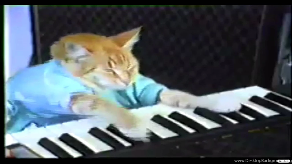 Keyboard Cat YouTube
