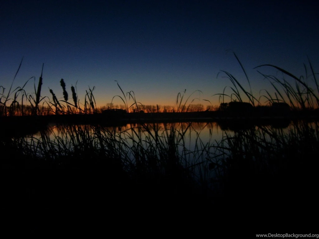 Desktop Hd Waterfowl Hunting Wallpapers 3d Hd Pictures.
