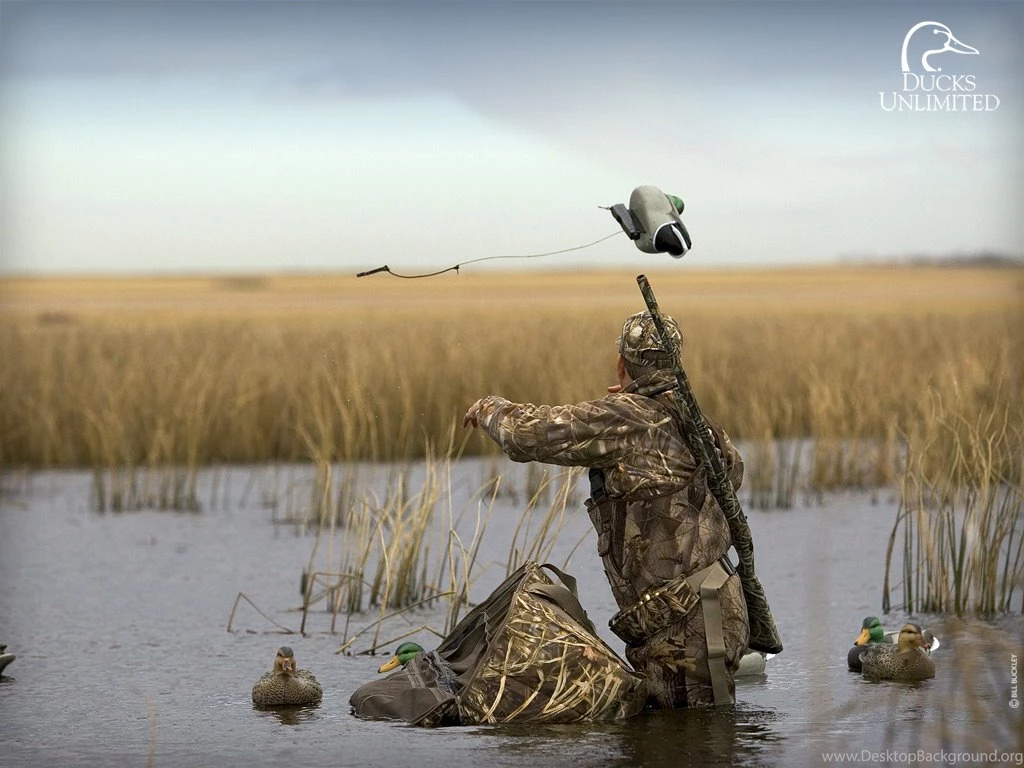 Duck Hunting Backgrounds cYxO 27222 Hd Pictures