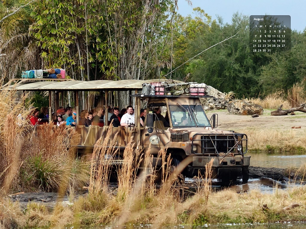 Find, Wagner Wallpapers Steamer