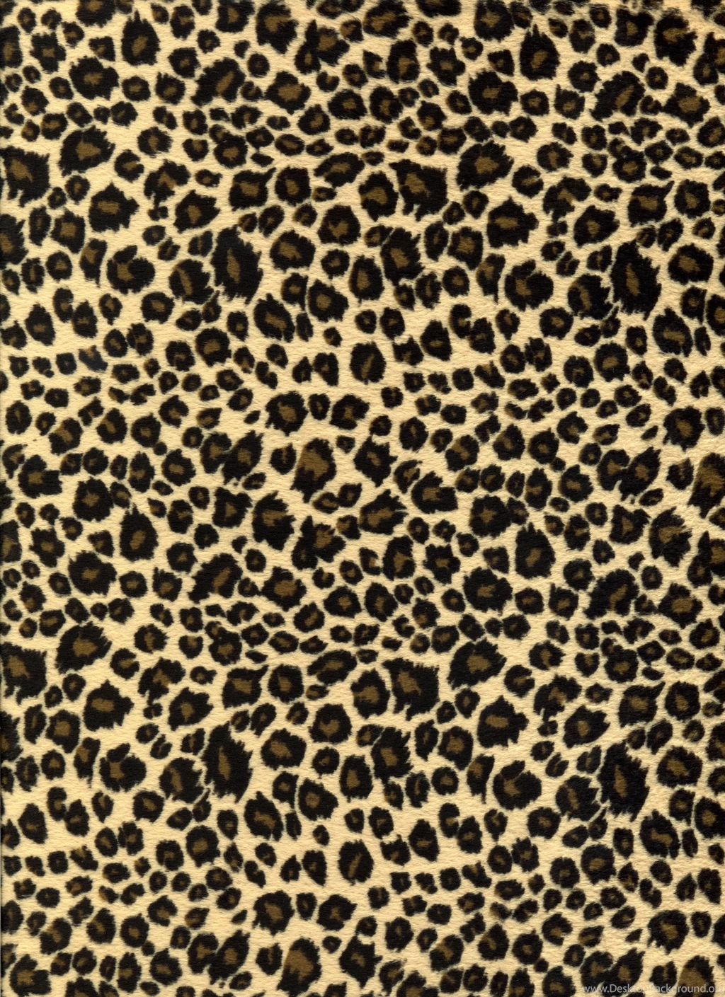 Leopard Desktop Backgrounds   Pixbim.com