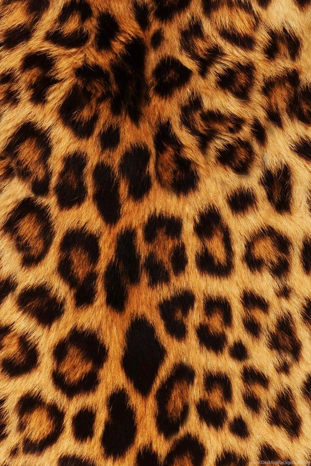 Animals, Background, Leopard, Wallpaper, Sfondo   Image