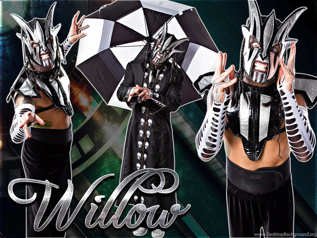 DeviantArt: More Like New TNA Willow 2014 HD Wallpapers By SmileDexizeR