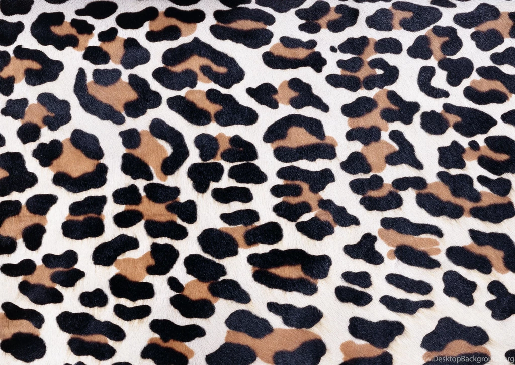 Download Texture: Leopard Fur Texture Backgrounds Image