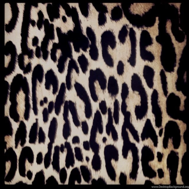 Leopard Backgrounds