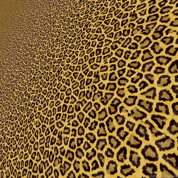 Free Illustration: Background, Leopard, Animal, Paper   Free Image ...