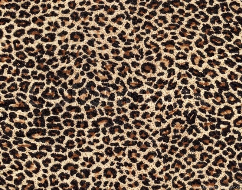 Leopard Skin As Backgrounds