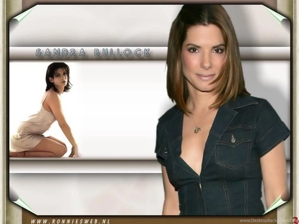 WALLPAPER Image PICTURE Photo SKETCH Illustration: Sandra Bullock ...
