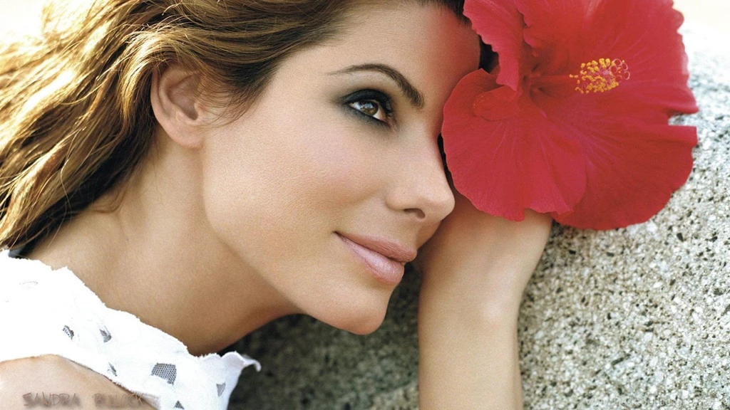 Sandra Bullock And Red Flower Wallpapers Free Sandra Bullock And ...