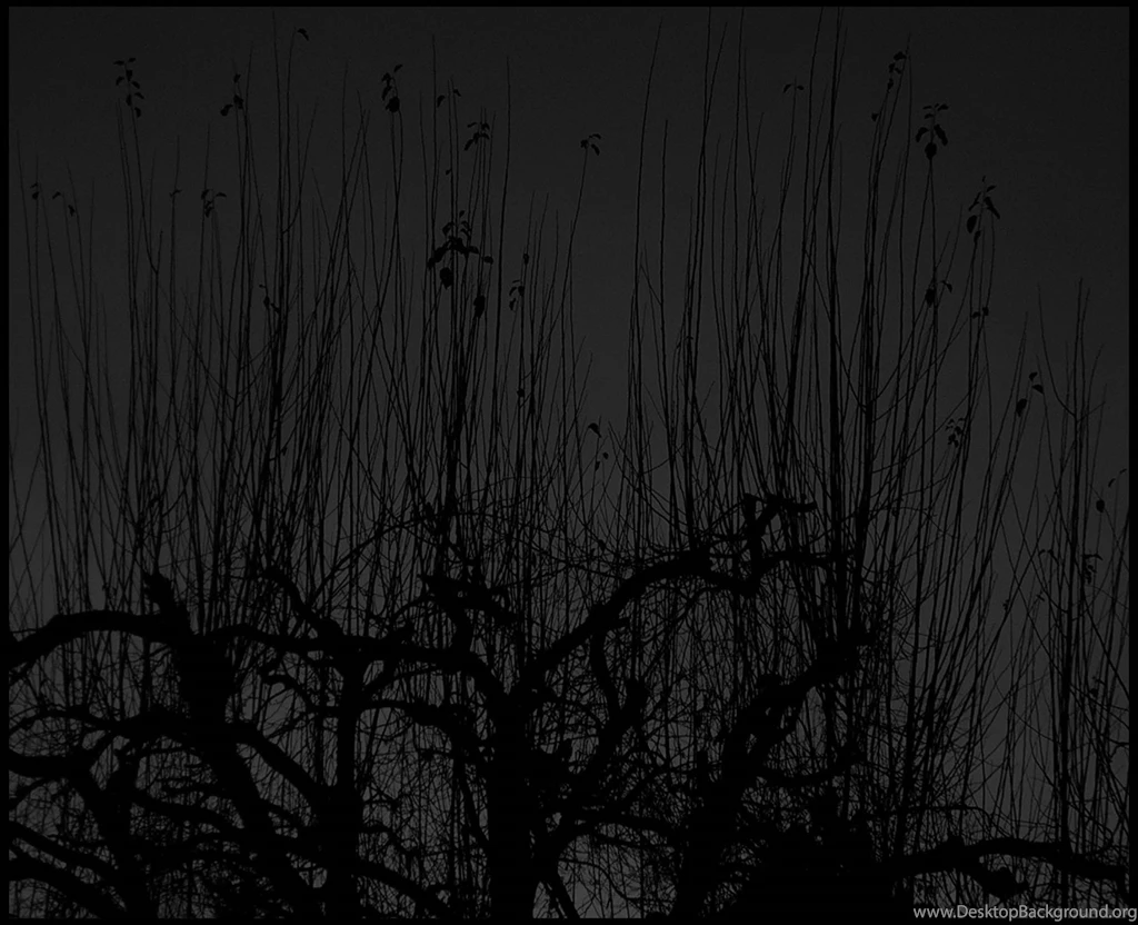 Heavy Metal Backgrounds Wallpapers Cave