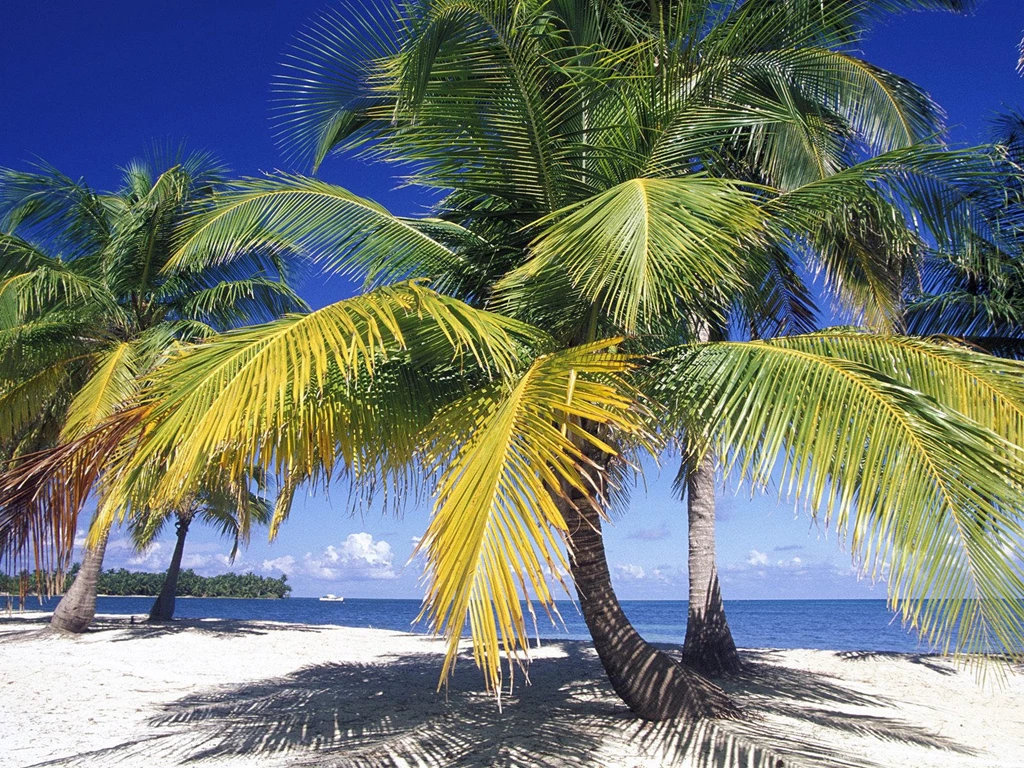 Gallery For > Belize Wallpapers