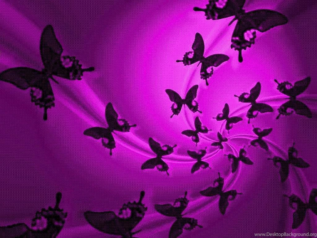 Butterfly Wallpapers Desktop 11237 Hd Wallpapers In Cute Imagesci ...