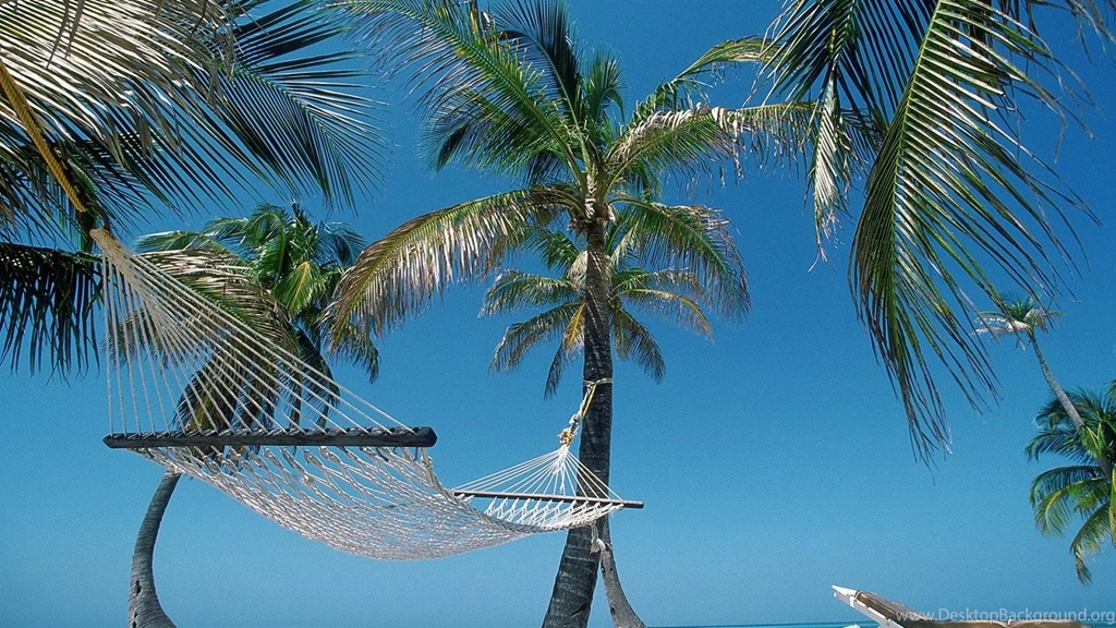Beach Hammock Palm Trees Belize Wallpapers