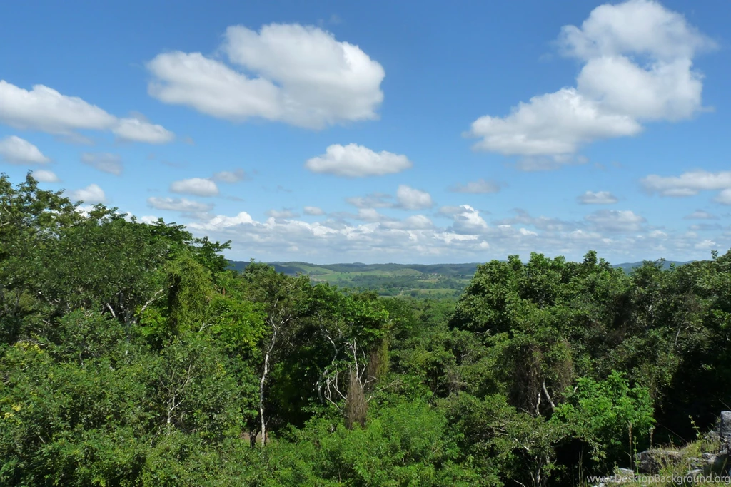 HD Belize Jungle Wallpapers New Post Has Been Published On ...
