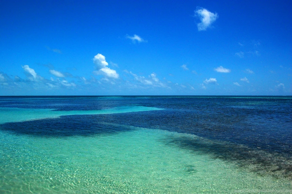 Belize Flag Wallpaper.