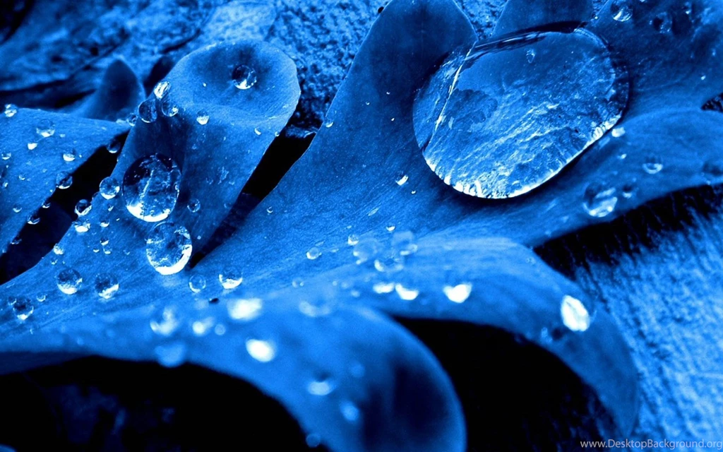 92712 1920x1200 Wallpapers HD