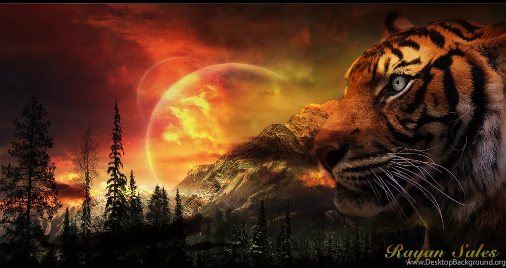 Tiger Wallpapers By Rayansales On Deviantart. Download Wallpapers ...