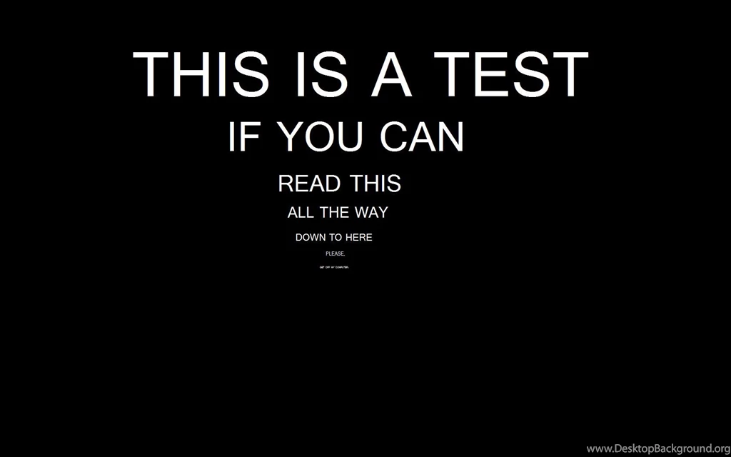 Wallpapers Funny