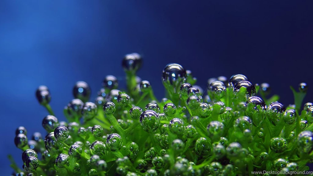 Underwater Water Drops Hd Wallpapers   (