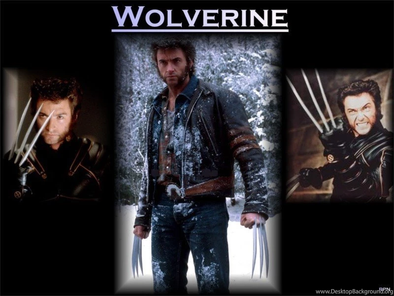 Wolverine   X Men Wallpapers (3978466)   Fanpop