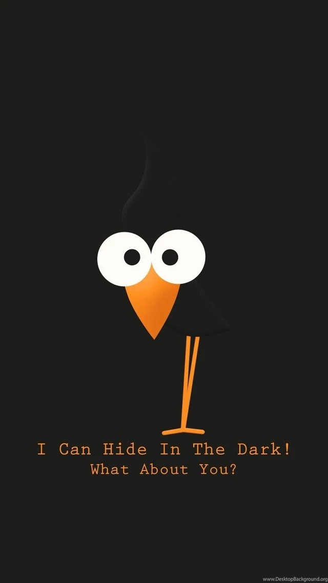 Bird Text Funny iPhone 5 Wallpapers, Backgrounds And Wallpapers