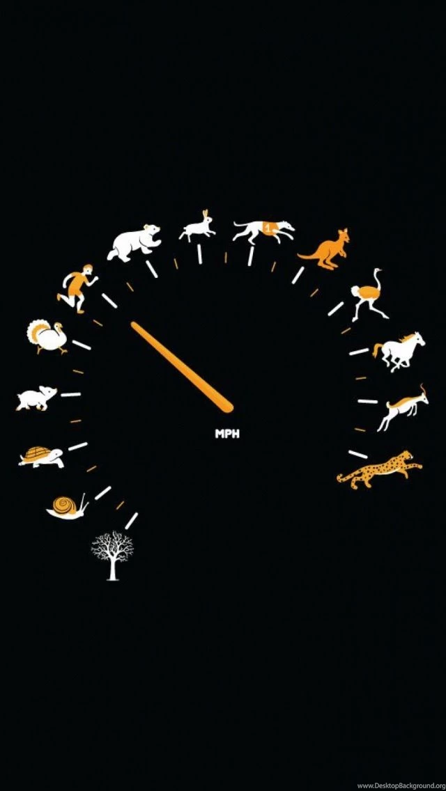 Funny Gauge Animals Speed iPhone 5 Wallpapers / IPod Wallpapers HD ...
