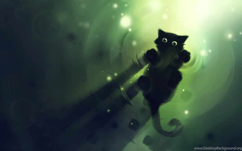 Freeboard Cat Wallpapers And Images   Wallpapers, Pictures, Photos