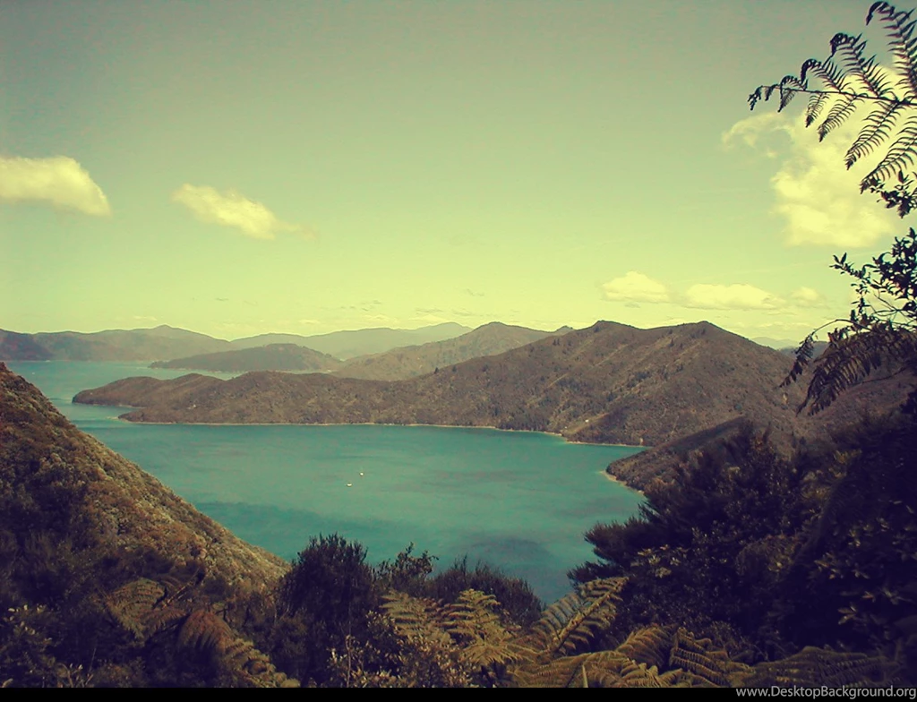 Sarah Broom   The Life And Work Of A New Zealand Poet