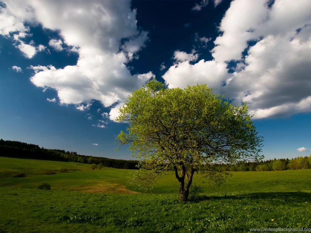 Beautiful Nature Wallpapers For Desktop