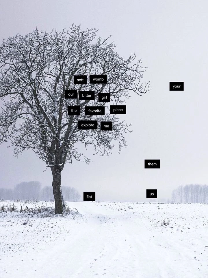 Friday Afternoon Poetry Fun!