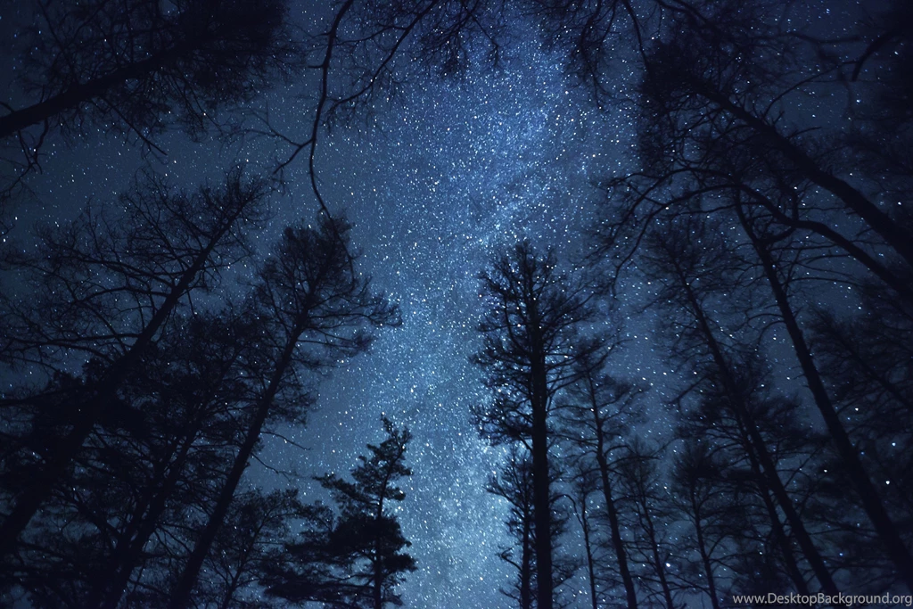 Starry Night Wallpapers High Quality Resolution   Uncalke.com