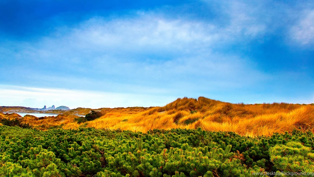 Celeb's Pic's: Beautiful Nature Wallpapers For Your Desktop