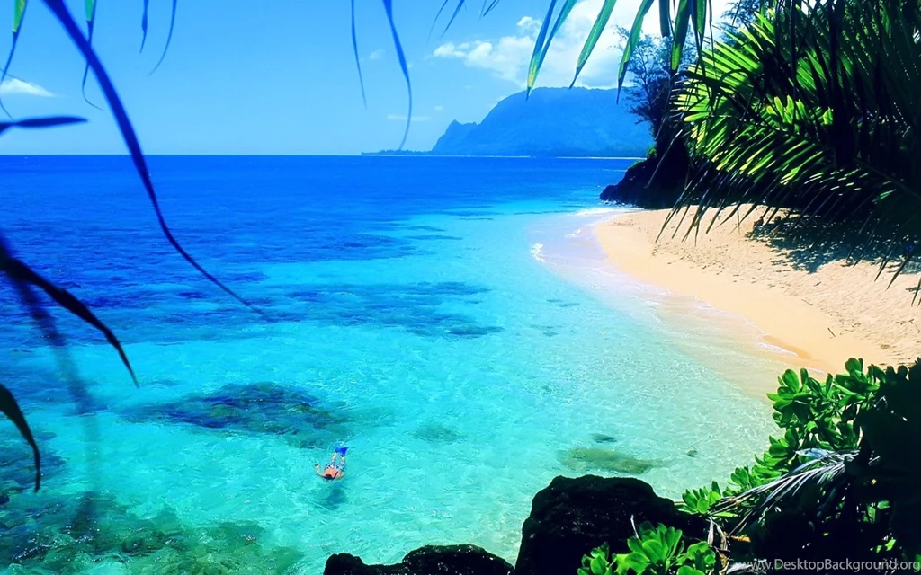 Paradise Beach Desktop Wallpapers Paradise Beach Picture Cool