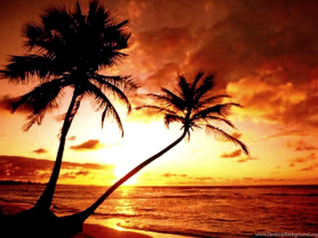 Tropical Island Paradise Sunset Wallpaper.