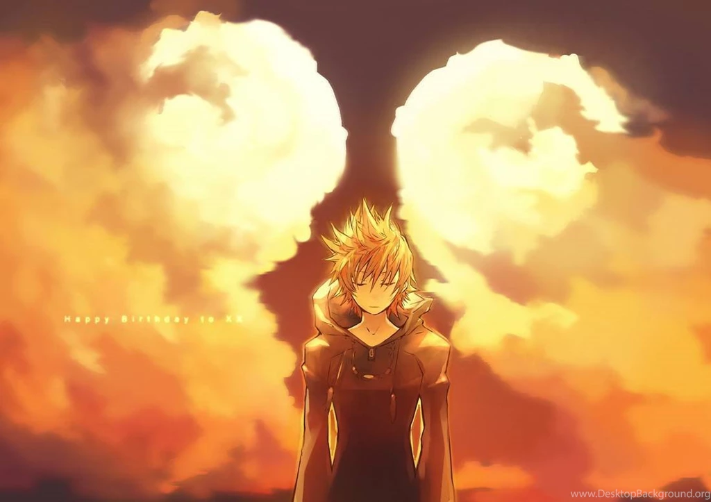 Kingdom Hearts Roxas Wallpapers (
