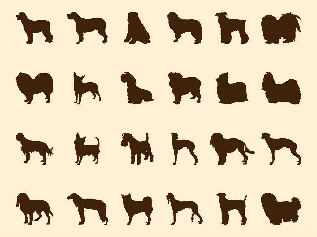 Dogs Silhouette Set Vector Art & Graphics