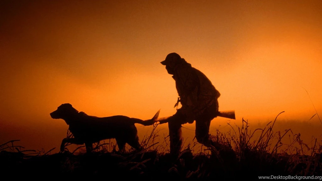 Sunset Guns Dawn Hunter Silhouettes Dogs Dusk Hunting Wallpapers ...