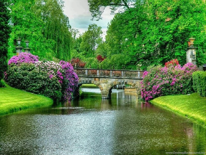 Beautiful Pictures Of Nature