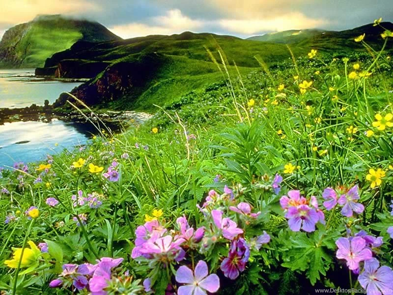 World Amazing Wallpapers: Natural Beauty Wallpapers