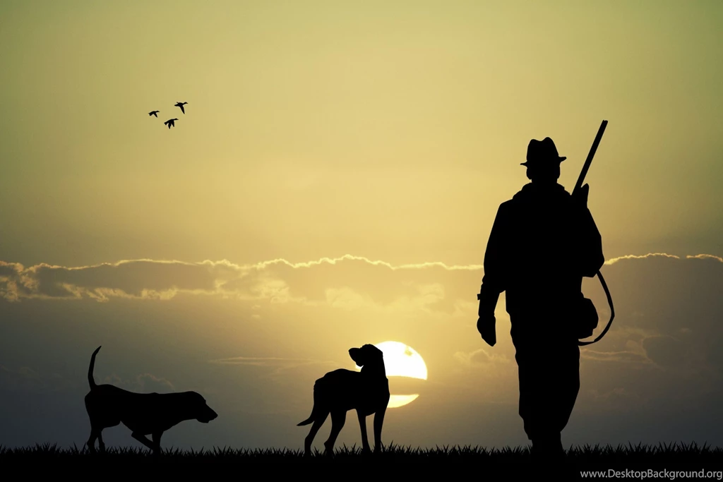Silhouette Hunt Rifle The Gun Rifle Hunter Two Dogs Plain Sunset ...
