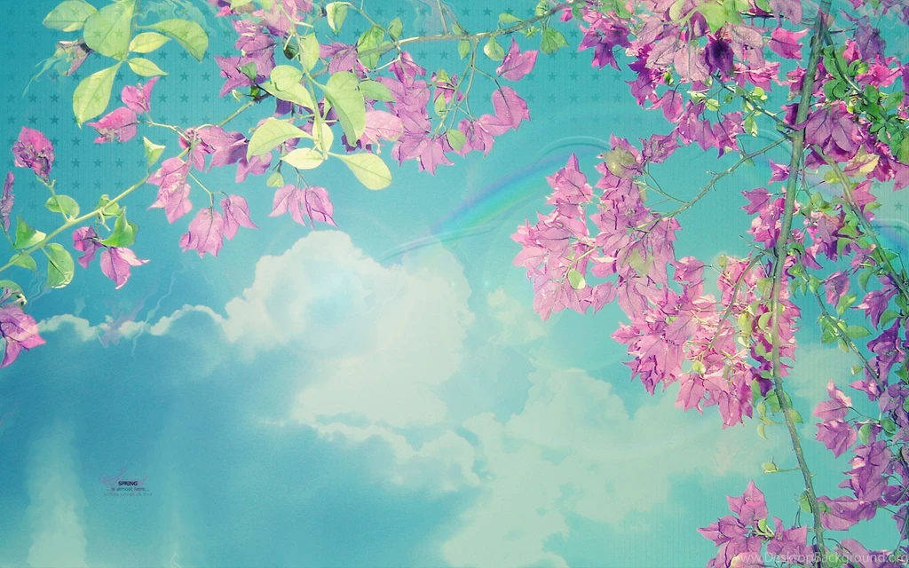 Turquoise And Pink Wallpapers Wallpapers HD Fine