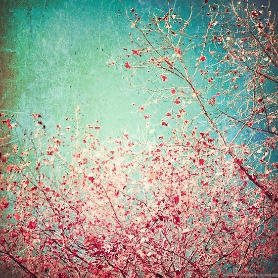 Pink Autumn Leafs On Blue Textured Backgrounds